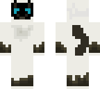 burmese cat