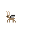sorry
