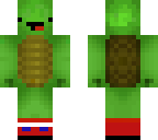 turtle with socks