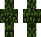 hojas