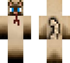 injury windclan