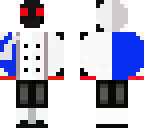 entity 30 sans