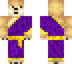doge with a toga