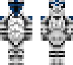 sgt ranks 1st division