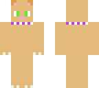 tabby cat