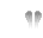 angel wings