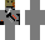 ninja spy