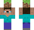 steve