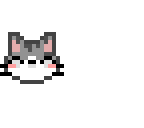kitty