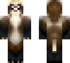 ferrets