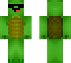 cool turtle