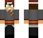 my gryffindor skin