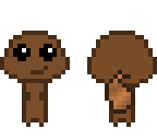 hi