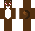 brown cute kitten