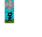 contest entry