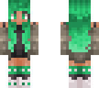 main skin