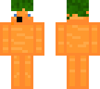 carrot hehe