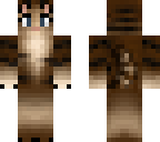 warrior cat