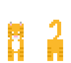 kitty cat