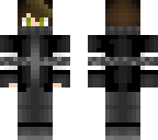 version 2