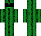 cactus bear