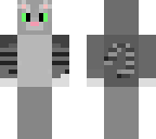 luna the cat
