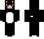 black and white cat