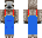 sloth boy