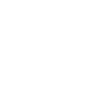 skully