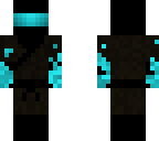 neo ninja flames