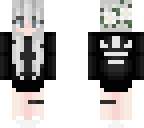 aer