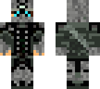 gray assassin
