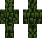 leaves