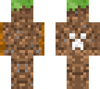 dirt skin