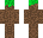 dirt
