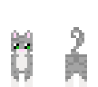 grey cat