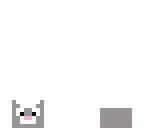 not cute cat xd
