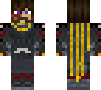 woahwombocombo kingsguard skin thronecraft