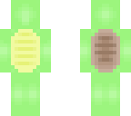 asian turtle