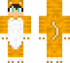 cattus naranja