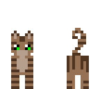 brown cat