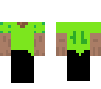 skin