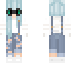 dsgs