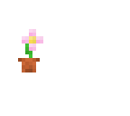 pink flower