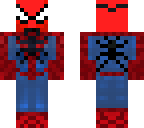 spider pug