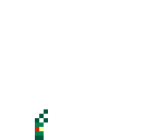plankton