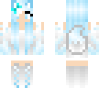 a copy of a skin