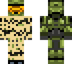 master chief
