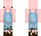 p i g