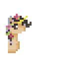 25 unicorns